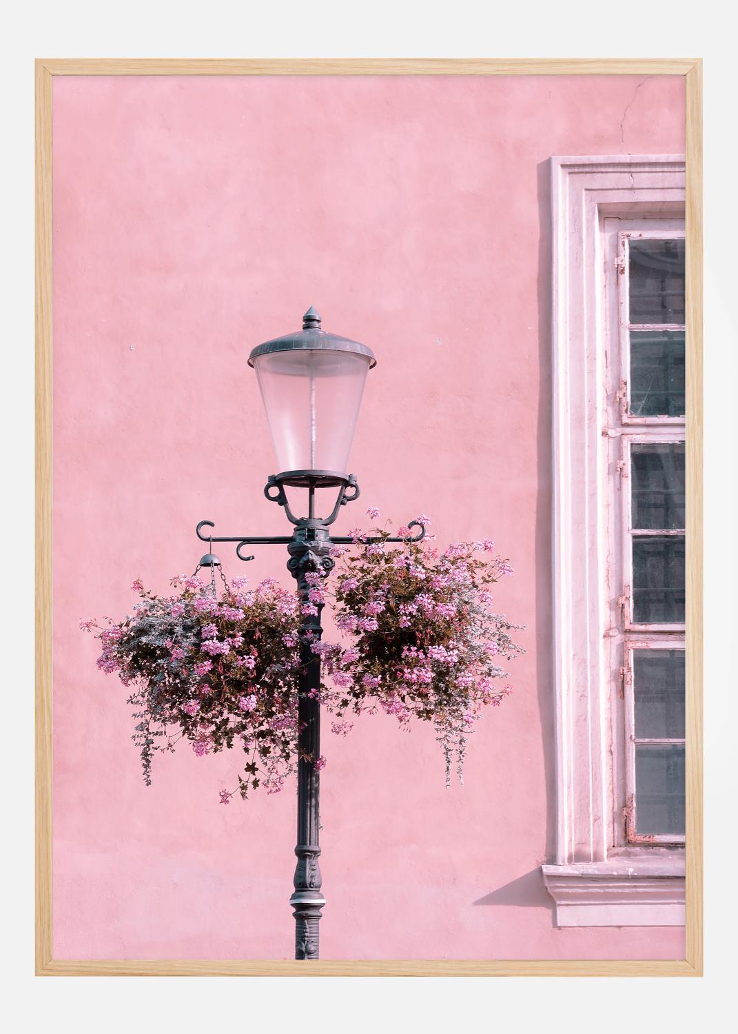 Product Image for Lamp-Post with Flower Poster (21x29.7 cm (A4))