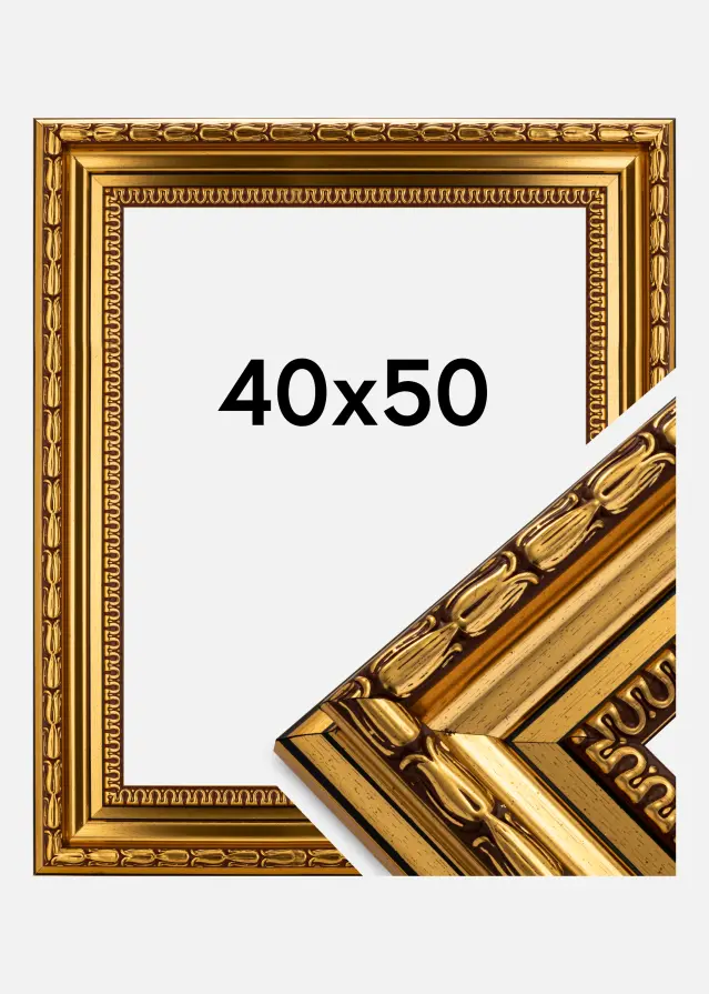 Galleri 1 Fotolijst Birka Premium Goud 40x50 cm