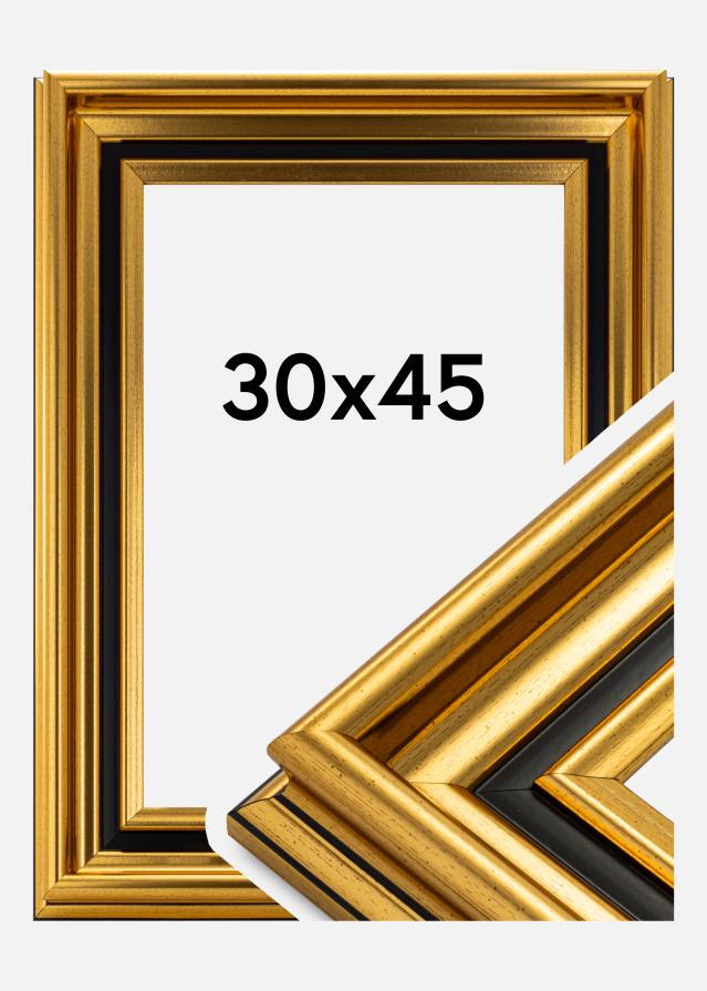 Ramverkstad Fotolijst Gysinge Premium Goud 30x45 cm
