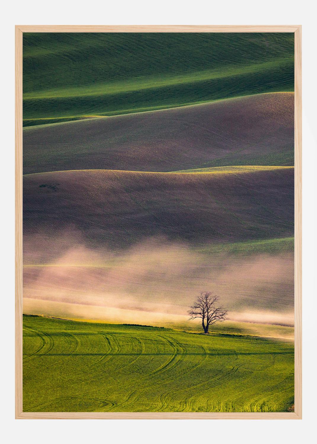Product Image for Sunset in Palouse Poster (21x29.7 cm (A4))