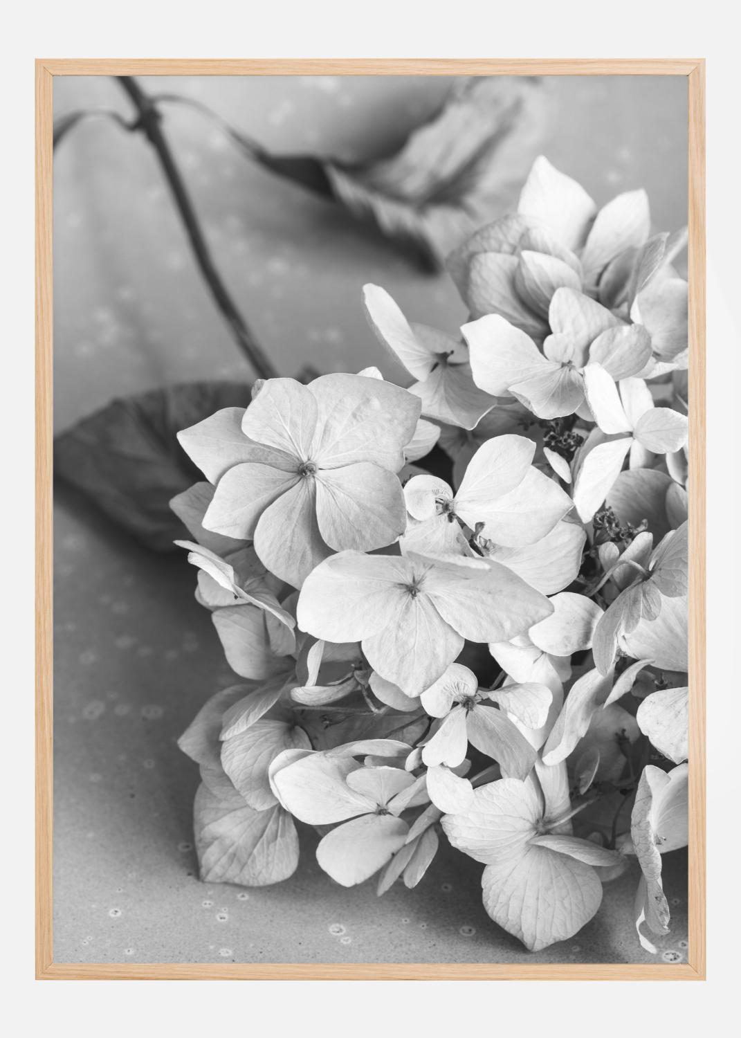 Product Image for Dried Flower Bw Poster (21x29.7 cm (A4))