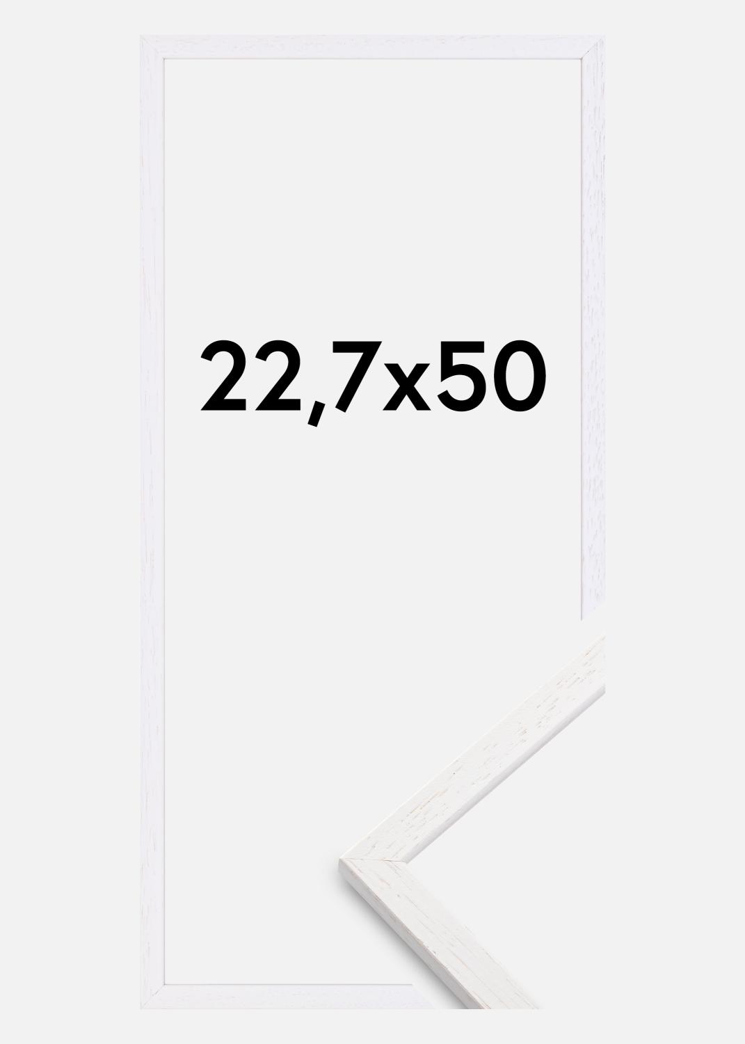 Product Image for Fotolijst Edsbyn Cold White 22,7x50 cm
