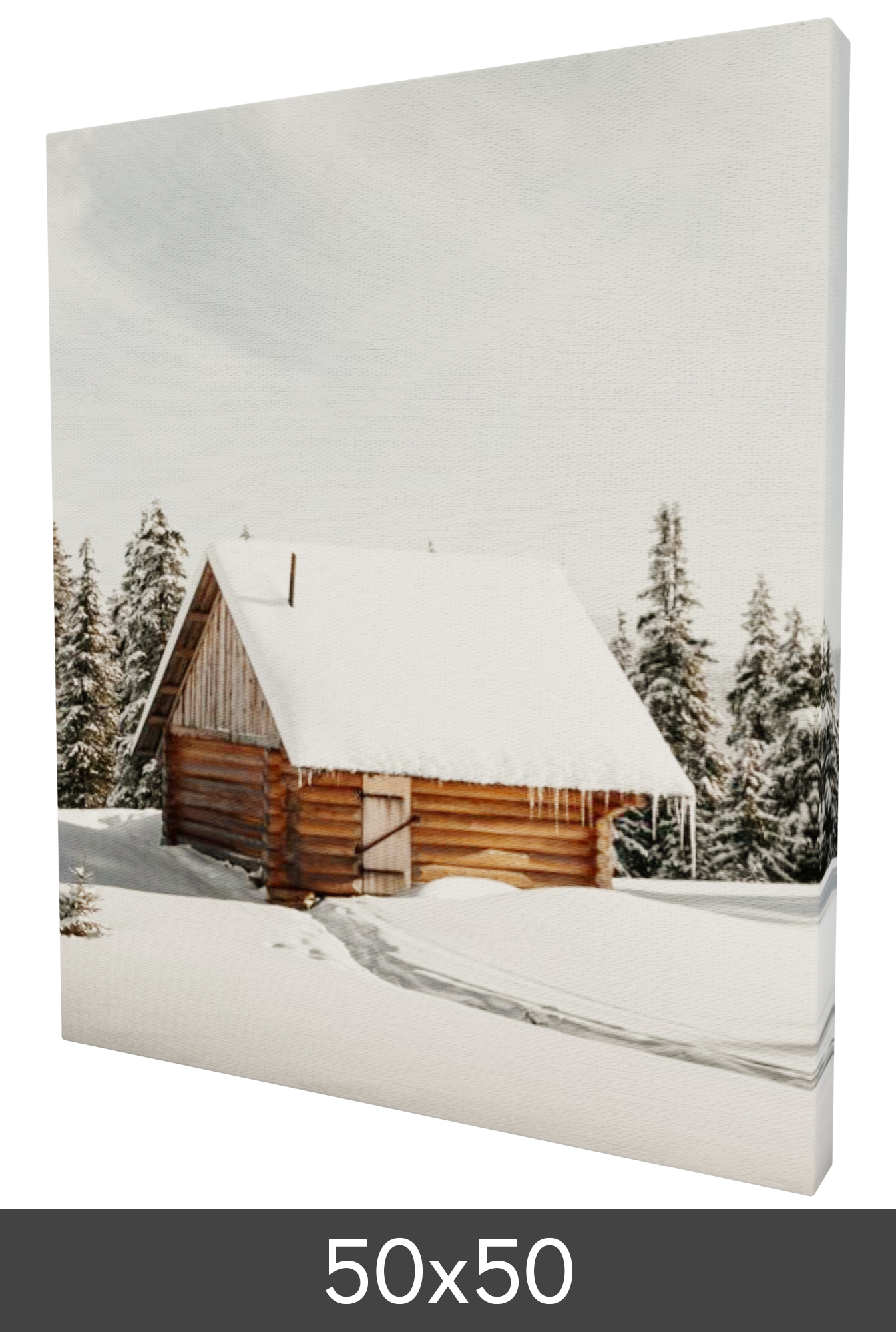 Product Image for Canvas posters 50×50 cm - 18 mm