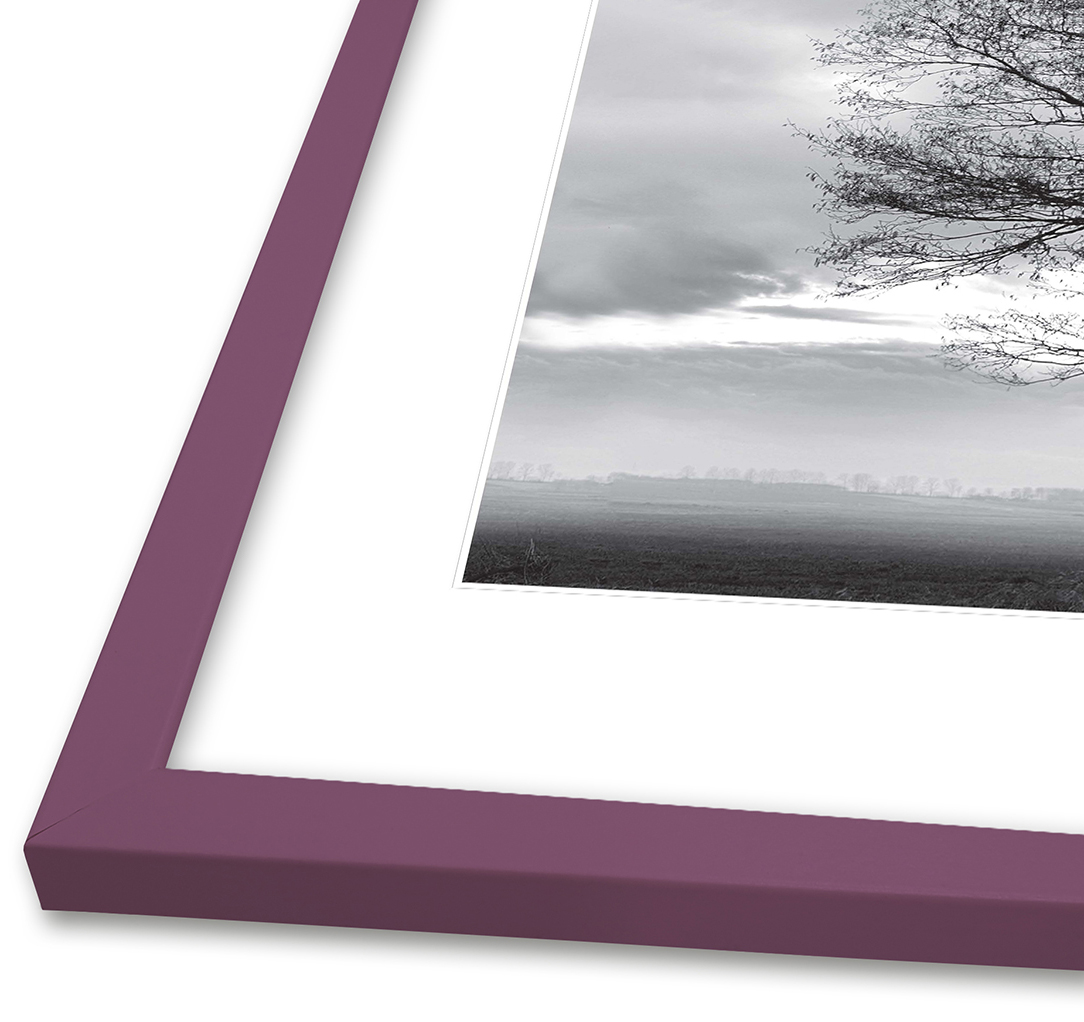 Incado Fotolijst NordicLine Berry Conserve 30x40 cm
