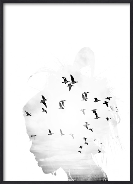 Lagervaror egen produktion Bird Head B&W Poster