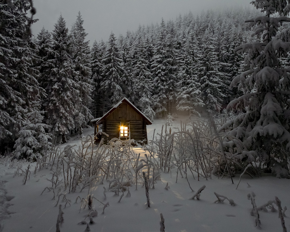 Bildverkstad Huisje in de winter Poster