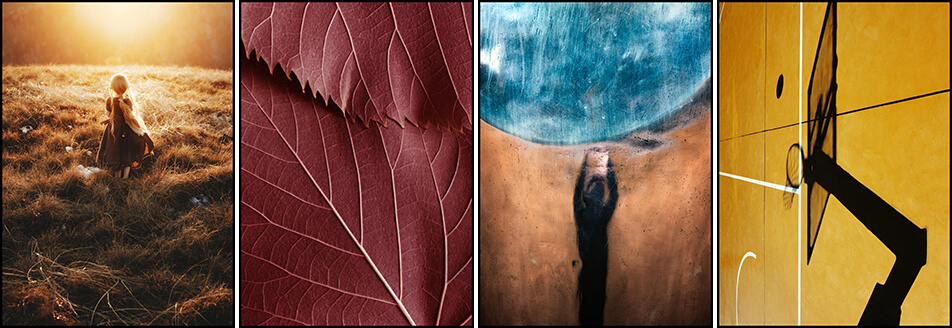 Vier posters in herfstachtige kleuren - geel, donkerrood, bruin