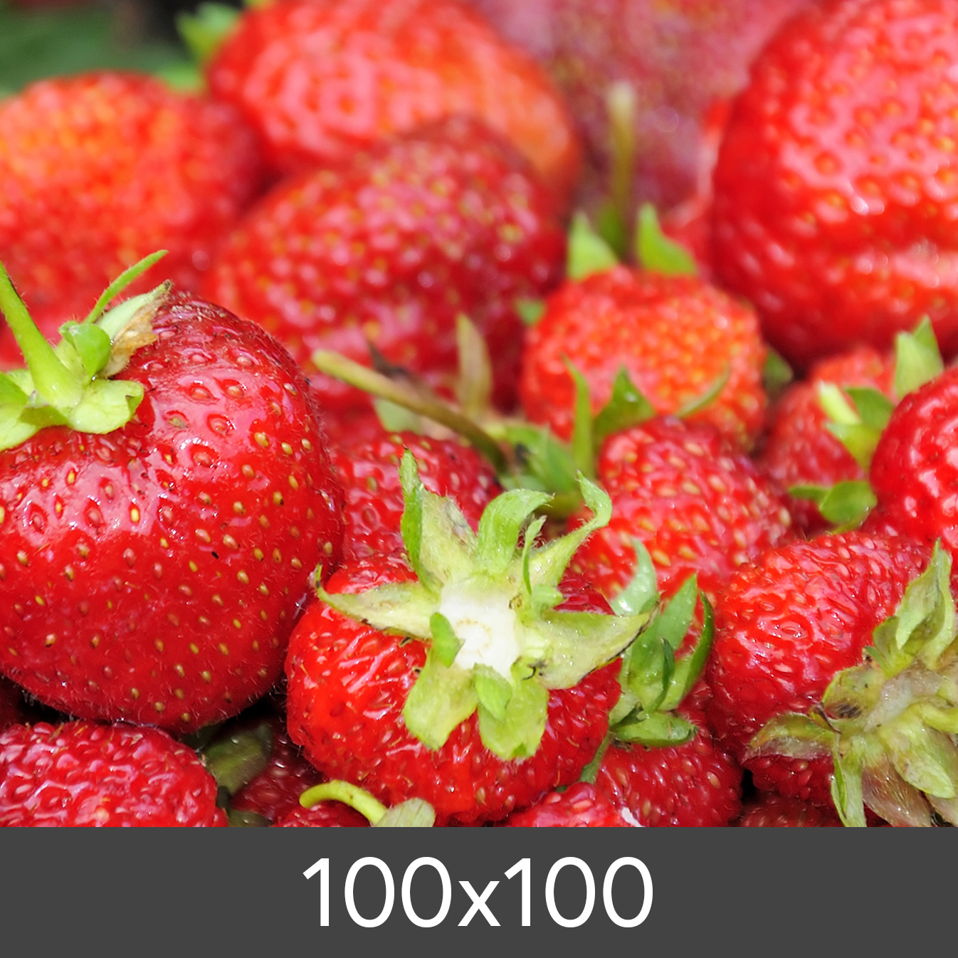 Product Image for Vergroting Standaard Photo Glossy 290 g (100x100 cm/Vergroting - FineArt Photo Glossy)